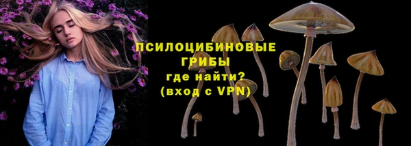прущие крисы Каменка