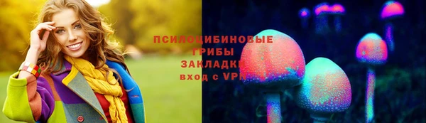 прущая мука Каменногорск