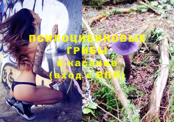 прущая мука Каменногорск