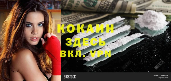 прущие крисы Каменка