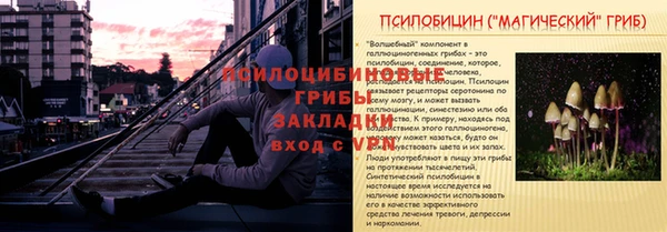 прущие крисы Каменка