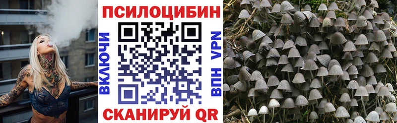 Галлюциногенные грибы прущие грибы  Камышин 